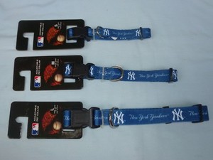 yankees pet gear