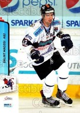 2013-14 Erste Bank Eishockey Liga EBEL #173 Balint Magosi