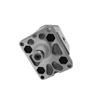 Pompa ad ingranaggi ALP1-D-3 Marzocchi Gear pump - Foto 1 di 6
