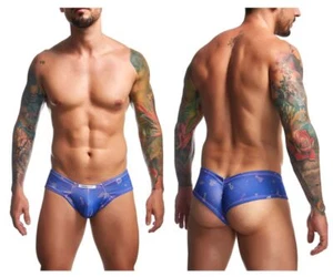 JUSTIN+SIMON XSJ22 Cheek Briefs Color Party - Picture 1 of 7