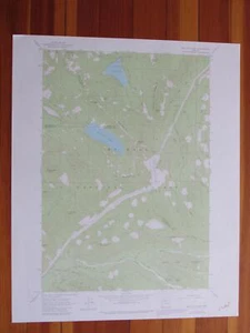 Bull Run Lake Oregon 1980 mappa topo USGS originale d'epoca - Foto 1 di 1