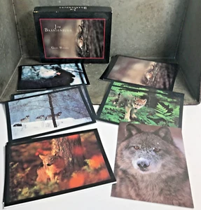 Jim Brandenburg Grey Wolves 1994 Stationary 9 Cards Wolf w Env + 1 Sierra Club - Picture 1 of 12