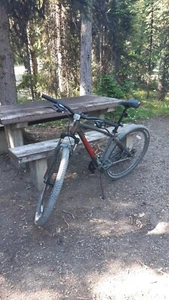 mountain bike - Picture 1 of 2