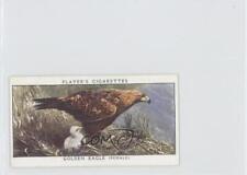 1955 Player's Birds & Their Young Series 1 Tobacco Golden Eagle #8 a8x
