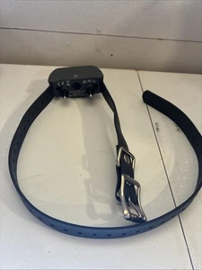 SportDOG Ferntrainer Hundetraining Empfänger Halsband nur SDT00-16671! - Bild 1 von 2