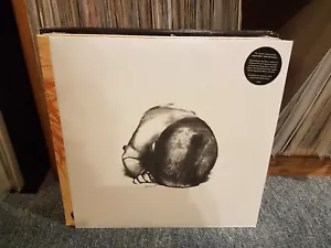 Liquid Idiot / Idiot Orchestra – Liquid Idiot / Idiot Orchestra (Album) - Foto 1 di 2