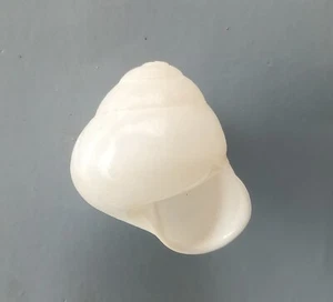 Caracol de tierra OFERTA RARA Helicostyla leai 29 mm gema - Imagen 1 de 6