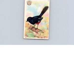 1918 Arm & Hammer Useful Birds America Second Series Towhee No 28 - Picture 1 of 2