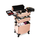 Large Makeup Case Trolley Mobile Beauty Hairdressing Vanity Case with Drawer Box