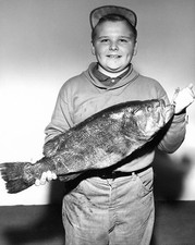 Boy With 9 Pound Largemouth Bass 1962 Old Fishing Photo