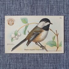 BLACK CAPPED CHICKADEE #18 Arm & Hammer Useful Birds of America THIRD Card 1922