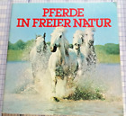 Pferde in freier Natur 1982 - Duplo/Hanuta Sammelalbum