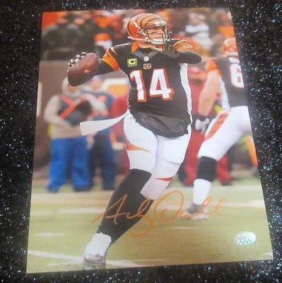 FOTO AUTOGRAFADA À MÃO 8X10 DE ANDY DALTON 14 CINCINNATI BENGALS COM CERTIFICADO DE AUTENTICIDADE - Imagem 1 de 4
