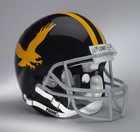 IOWA HAWKEYES NCAA Schutt XP Full Size REPLICA Gameday Football Helmet Cover