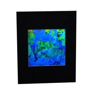 3D Unterwasser Hologramm Bild MATTIERT, Sammlerstück GEPRÄGT Typ Film - Bild 1 von 7