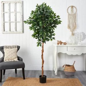 6 Ft. Artificial Ficus Tree - Picture 1 of 12