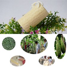 1X Natural Loofah Sponge Exfoliator Bath Shower Spa and Body cleaning Scrub ÁÁ