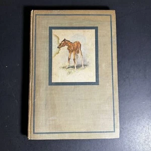 John Steinbeck The Red Pony HC 1st Ed Book Watercolors by W Dennis 1945 [191] - Picture 1 of 17