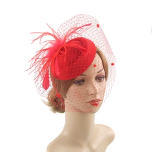 Lady Veil Fascinator Hat Retro Pillbox Hat Feather Cocktail Party Headpiece Cute - Foto 1 di 19