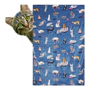 Vera Bradley Throw Blanket Cats Meow 50" x 80" In Sealed Package, Giftable - Picture 1 of 3
