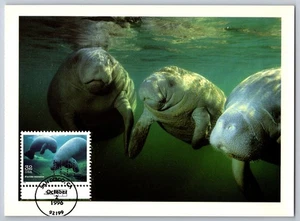 #3105o Endangered Species Florida Manatee FDC MaxiCard Hideaki Nakano 1/1 Perfin - Picture 1 of 2