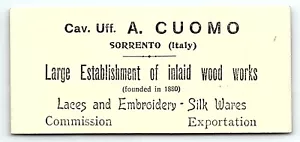 c1900 SORRENTO ITALY A CUOMO LACES EMBROIDERY SILK WARES ADVERTISING CARD Z5505 - Picture 1 of 2