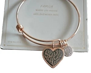 Stainless Steel ~ Bangle Bracelet w/Charms ~ FAMILY ~ Rose Gold Finish - Picture 1 of 5