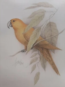 HARRISON Lithograph 1407 Golden Parrot 9 x 11, Ira Roberts Publishing 1981 - Picture 1 of 10