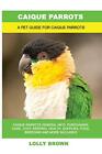Caique Parrots: Caique Parrots General Info, Pu. Brown<|