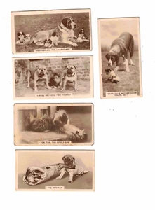 De Reszke Cigarette Cards x 5 - Real Photographs 5th Series 1933 - Bild 1 von 2