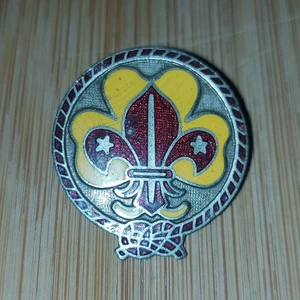 UK Scouting Scout Fellowship Metal Pin Badge - Picture 1 of 2