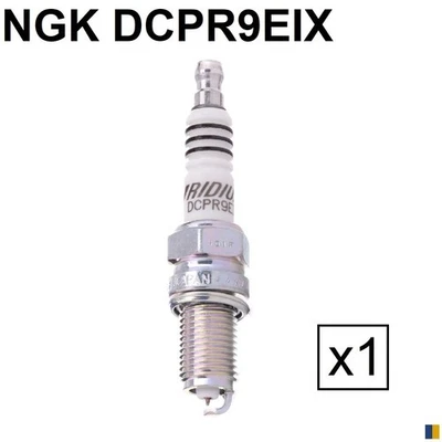 Bujías NGK tipo DCPR9EIX para Can-Am DS 450 /X 2008-2015 - Imagen 1 de 4