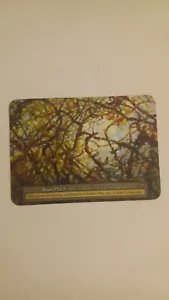 Briar Patch NM/M Sorcery Contested Realm Arthurian Legends Sorcery TCG - Picture 1 of 2