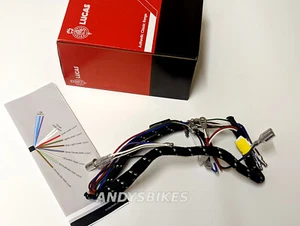 Genuino Lucas Faro Faro Cableado Arnés BSA A75 Rocket 3 MK2 1971-1973 - Imagen 1 de 1