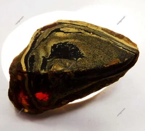 256 Ct Natural Honey Baltic Amber Untreated Certified Uncut Rough Loose Gemstone - Picture 1 of 5
