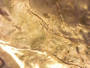 1955 Penny Die Cracks Variety Obverse - Picture 1 of 11