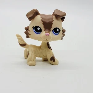 Littlest Pet Shop Rare 2210 Vacation Collie Tan Brown Zig Zag Purple Eyes - Picture 1 of 14