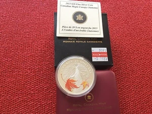 2013 $20 Silver Coin - Canadian Maple Canopy ( Autumn) - Bild 1 von 2