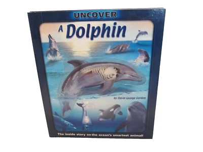 Silver Dolphin Uncover A Dolphin 3D Layered Book 2002 - Image 1 of 3