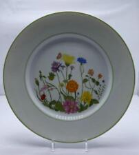 Wonderland by Denby Portugal Dinner Plates 10-3/8" Wild Flowers & Green Trim