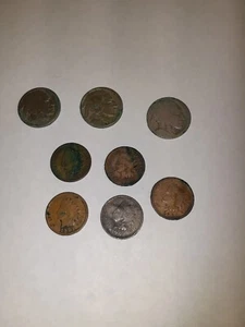 3 Buffalo Nickels & 5 1893-1905 Indian Head Pennies, Circulated - Picture 1 of 2