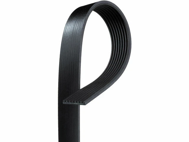 Cinturón multi costilla para Freightliner Classic 2005-2007 14,6 L 6 cilindros diésel 2006 M941Yf Foto 1 de 1