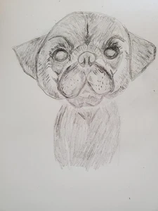 Original Bleistift Skizze Zeichnung Mops Hund Portrait 8x10 signiert vom Künstler - Bild 1 von 4
