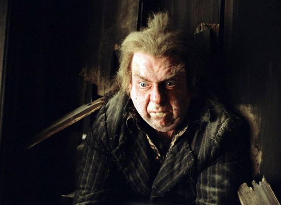 PHOTO HARRY POTTER - TIMOTHY SPALL (P24) FORMAT 20X27 CM