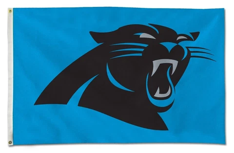 Carolina Panthers Tailgate Flag 3x5 NFL Deluxe NFL All Pro Banner NEW Cover