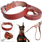 Leather Dog Collar and Matching Leads for Small Medium Large Dog Yorkie Doberman