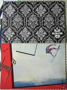 VOLCOM surf skateboard 2006 BRUCE IRONS 2 SIDED POSTER Flawless New Old Stock - Picture 1 of 1
