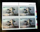 Us Duck Plate Block Stamps Scott Rw62 Mallards 1995 Mnh L495