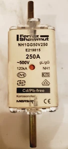 New Mersen Ferraz Shawmut NH1GG50V250 Fuse 250A 500V - Picture 1 of 1