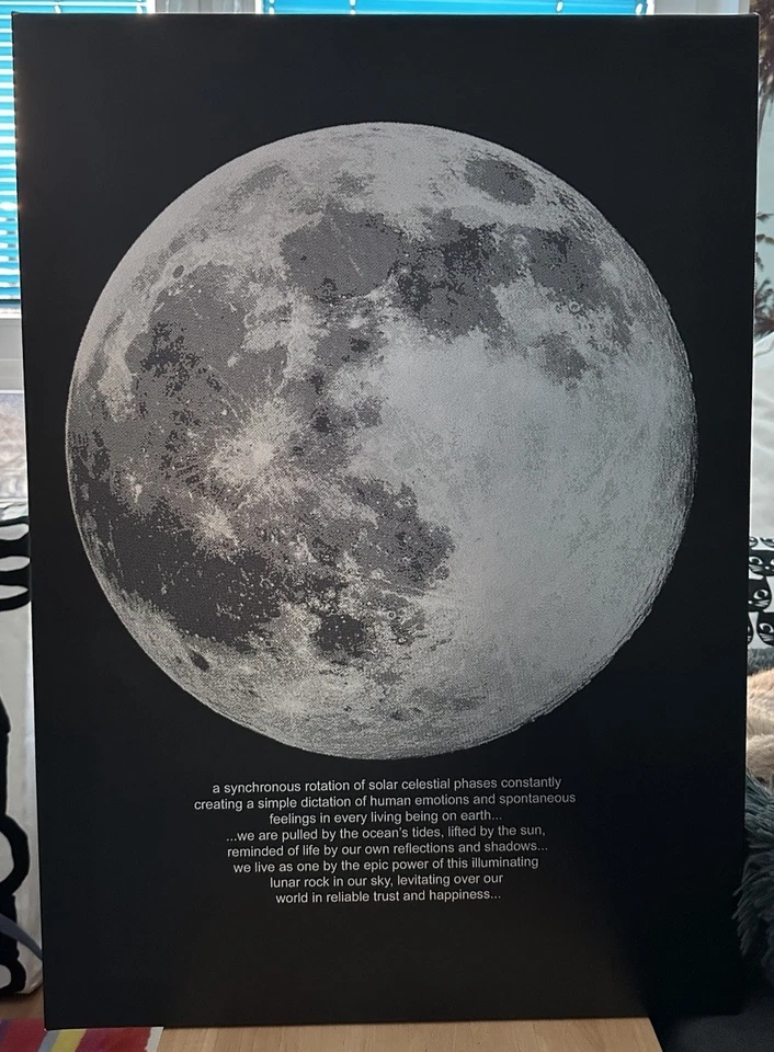 IKEA Mondphase  PJÄTTERYD Bild, Leinwand Voll Mondlicht, 50x70cm Rahmen Mond - Bild 1 von 4